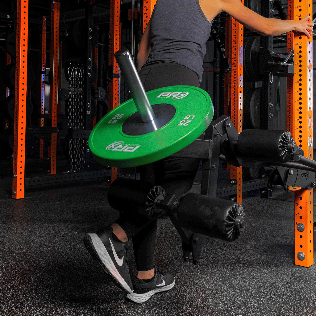 PRx Leg Curl/Extension