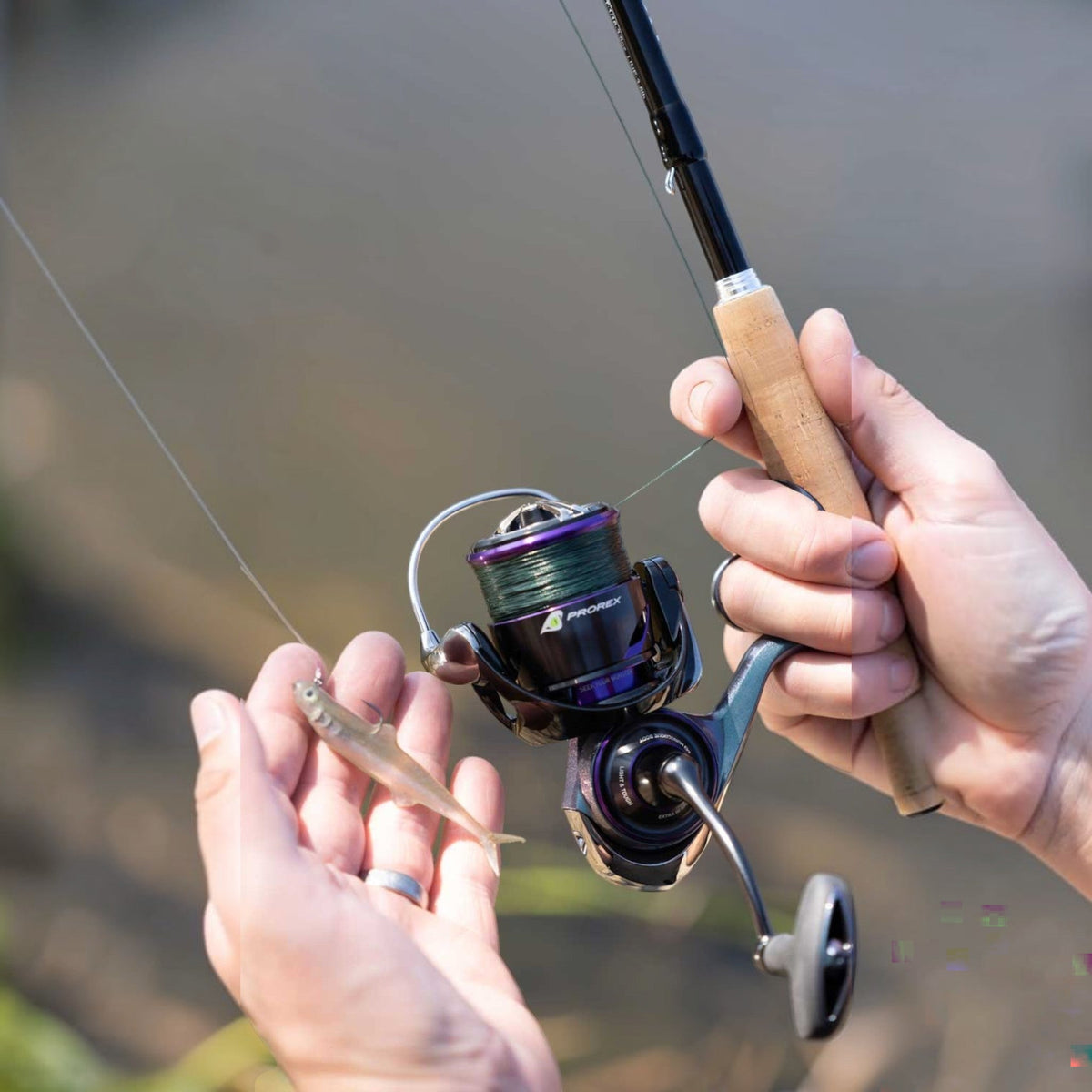 Daiwa Prorex MQ LT Spinning Reels
