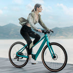 Fiido E-Gravel C22 Electric Bike