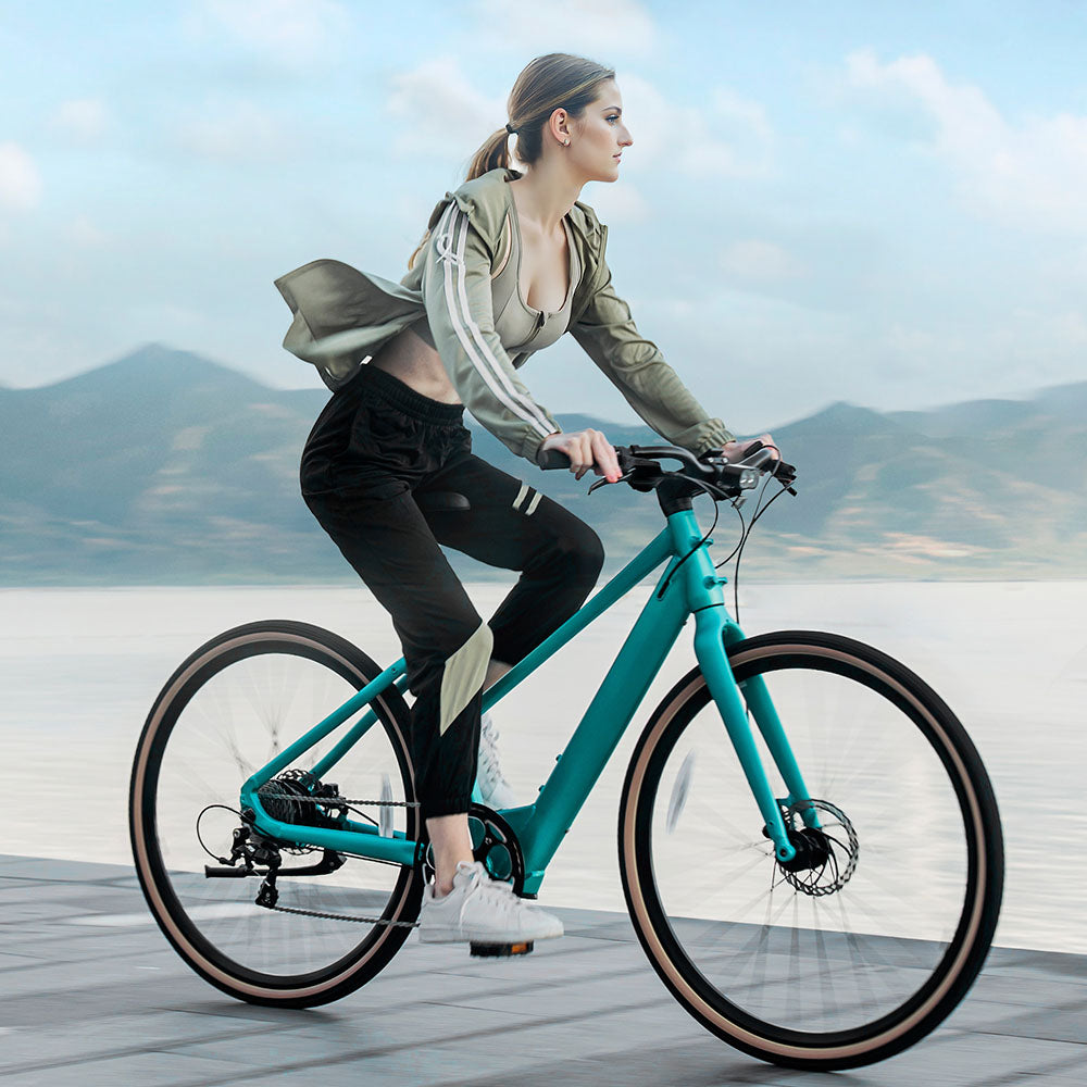 Fiido E-Gravel C22 Electric Bike