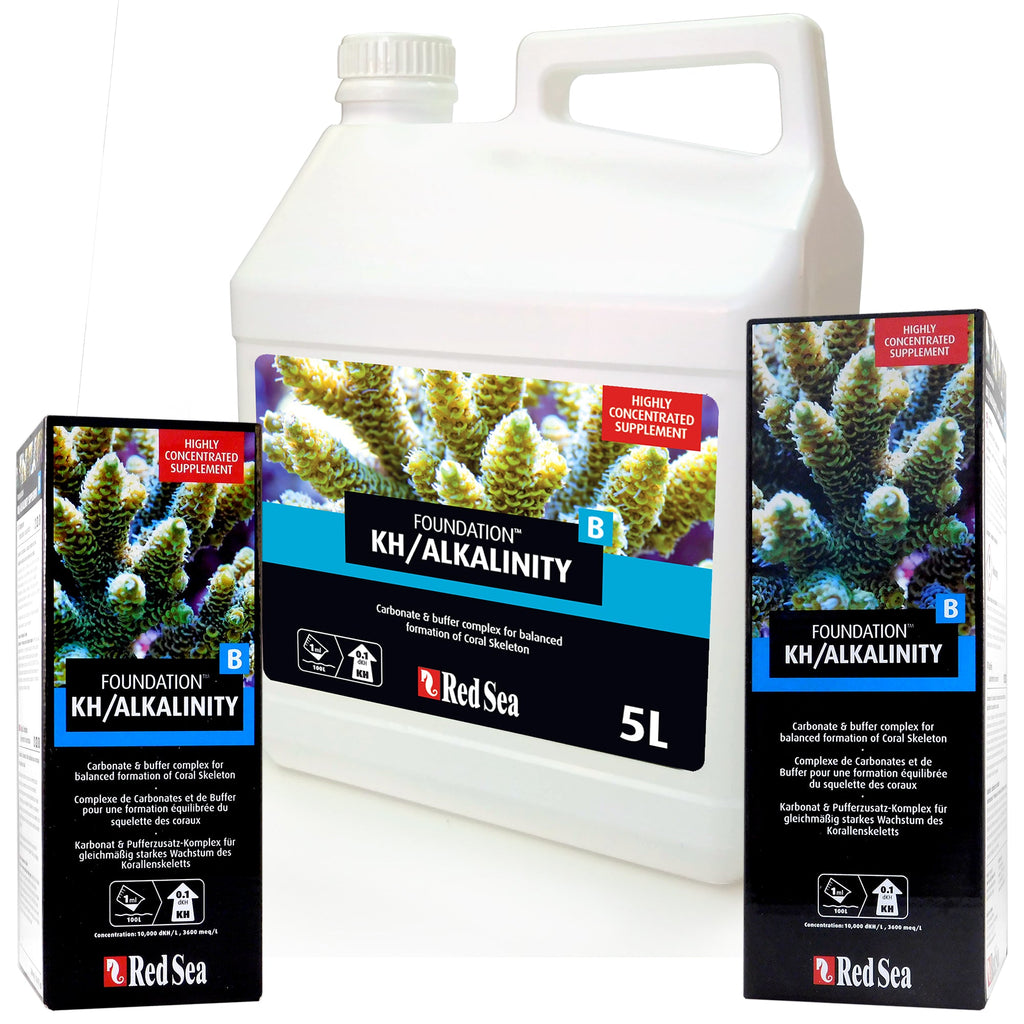 Reef Foundation B: Alkalinity & pH Buffer for Coral Skeletons