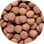 Hikari Massivore Delite XL Pellets for Monster Fish