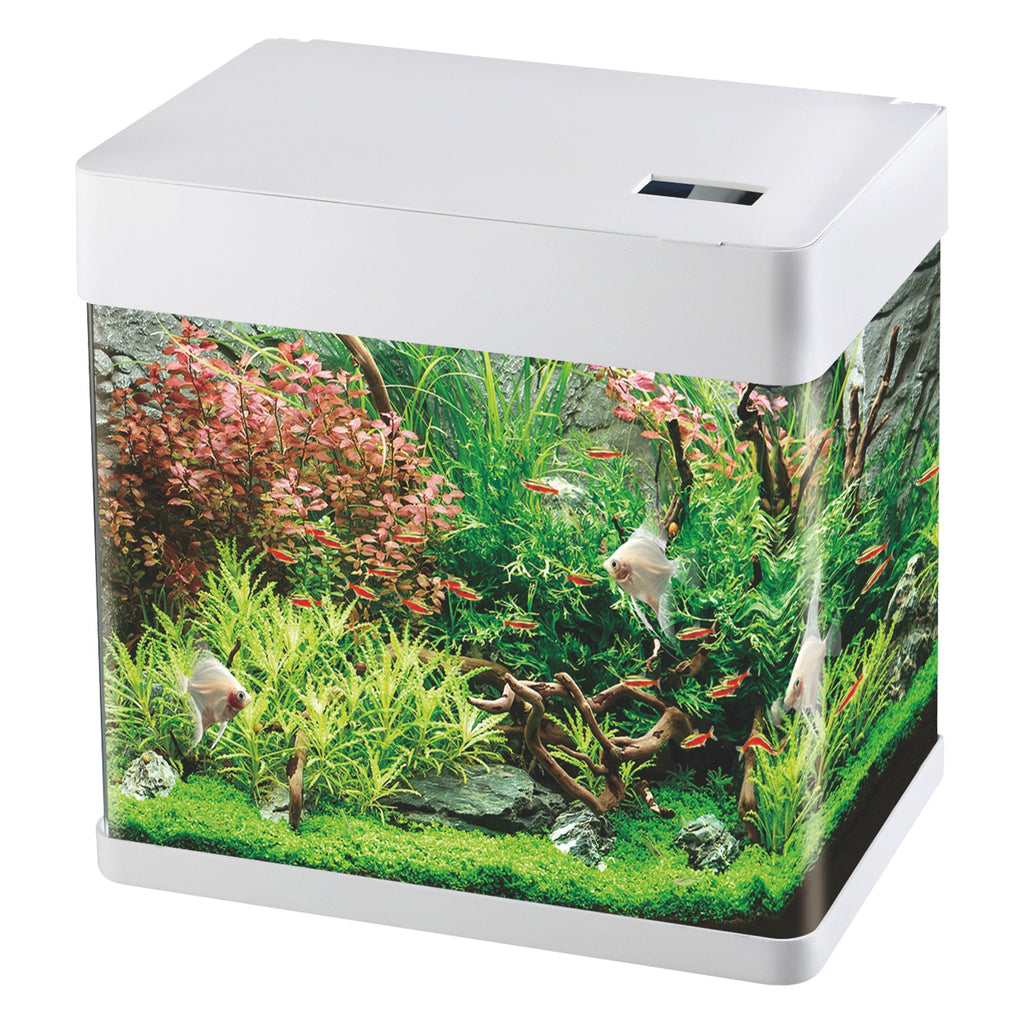 Betta Choice 49L Aquarium with LED & 3-Stage Filter