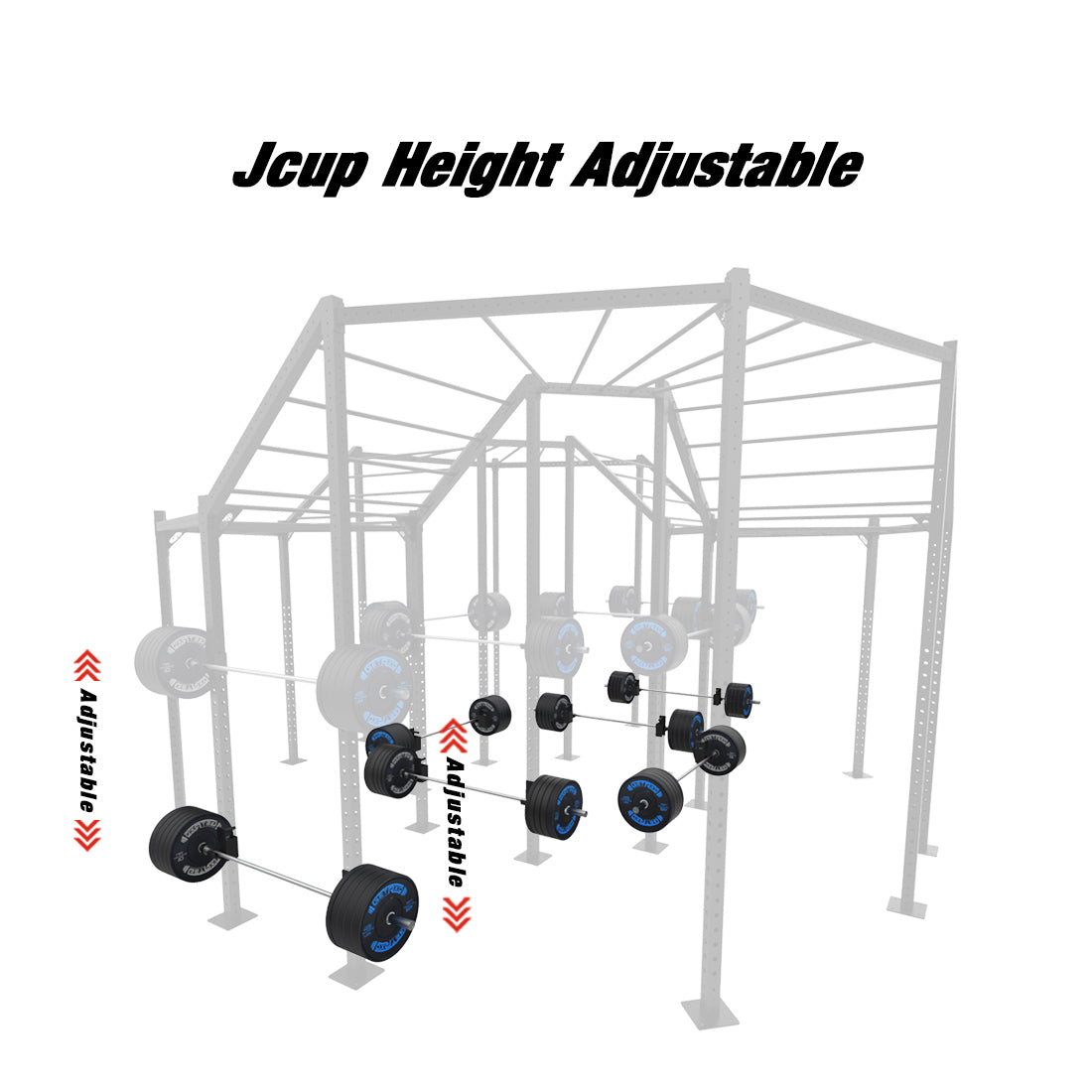 Circular Monkey Bar Rig - Advanced