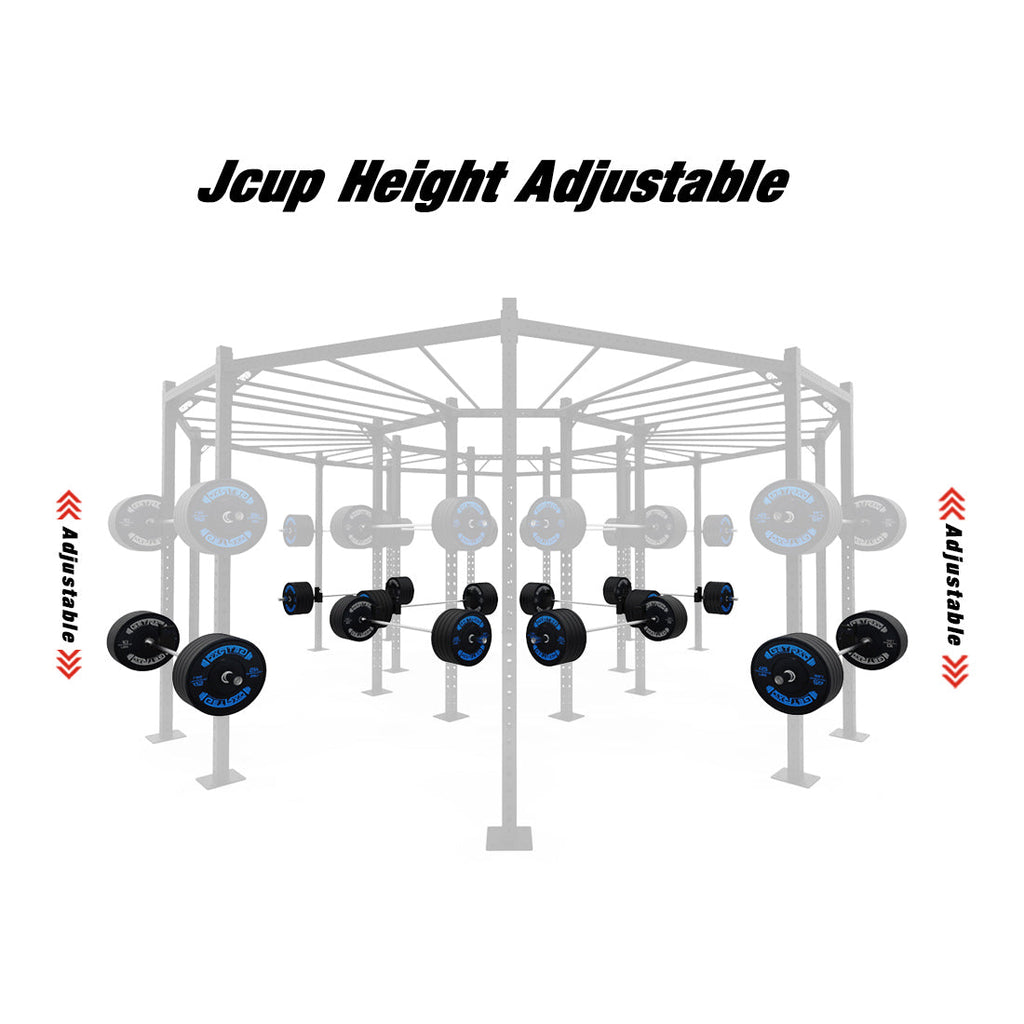 Circular Monkey Bar Rig - Basic