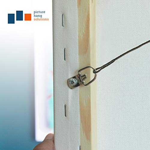 PHS D-Ring Picture Hangers, Holds 10 lb, 1000 Pack with Screws - size: 1000 Pack