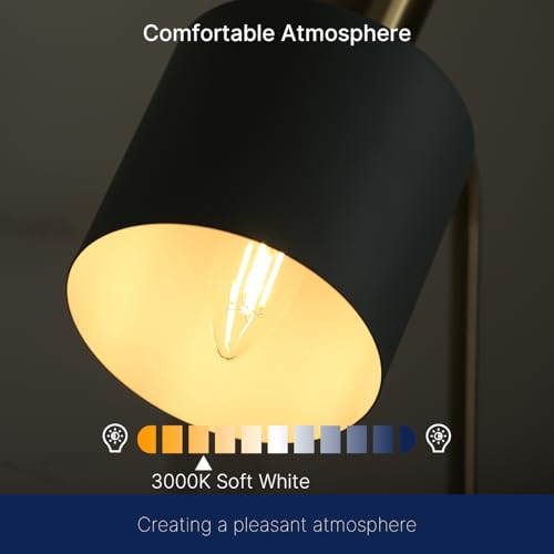 FLSNT 60W Equivalent LED Chandelier Light Bulbs, Dimmable LED B11 E12 Candelabra Base Bulbs, 3000K Warm White, 500LM, 6 Pack - color: 3000k Warm White, size: 6 Count (Pack of 1)