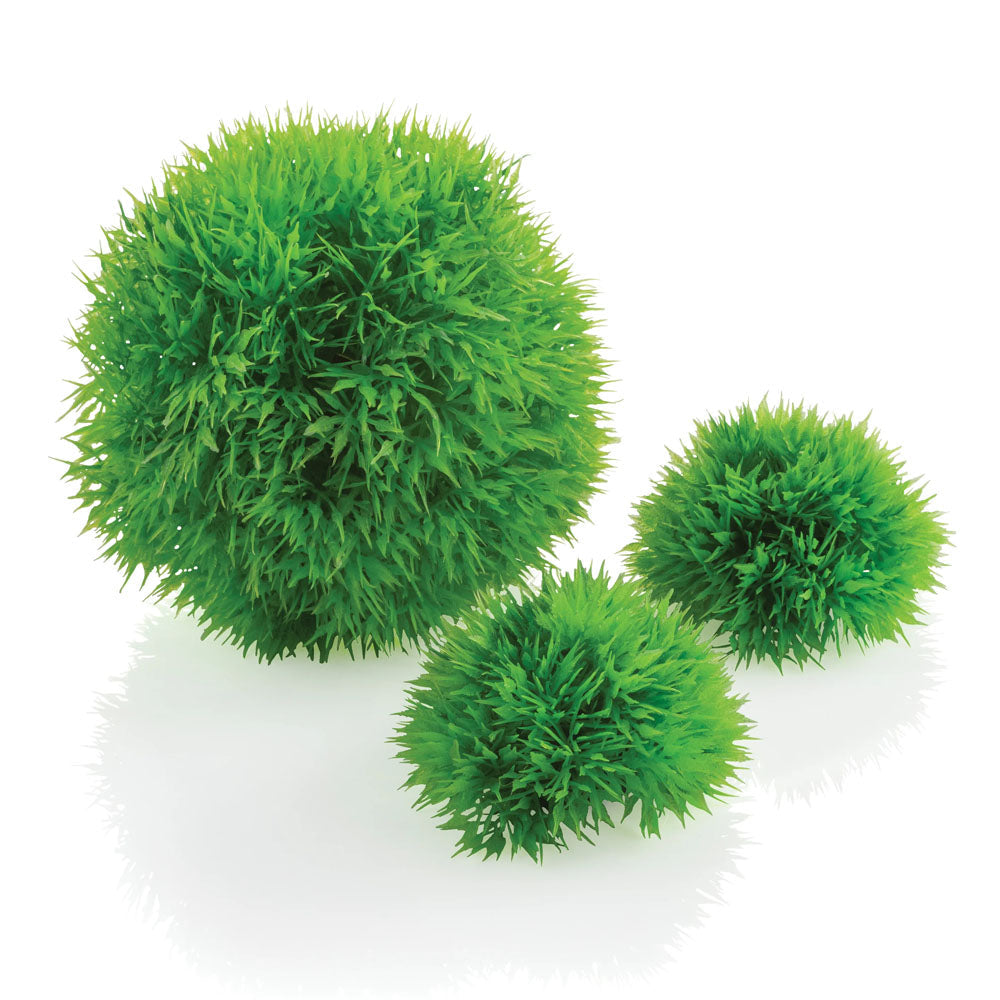 Aquatic Topiary