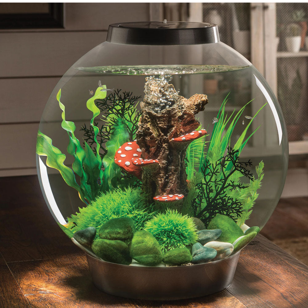 Aquatic Topiary