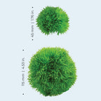 Aquatic Topiary