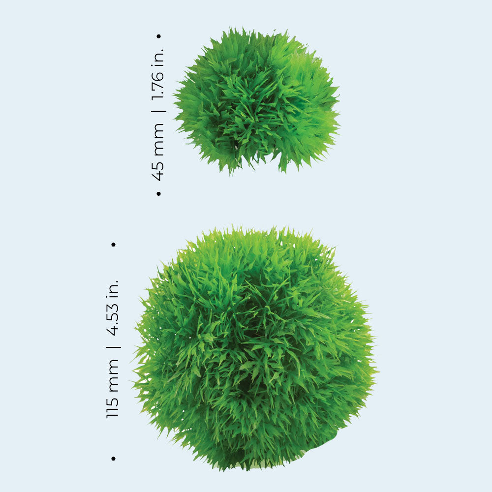 Aquatic Topiary