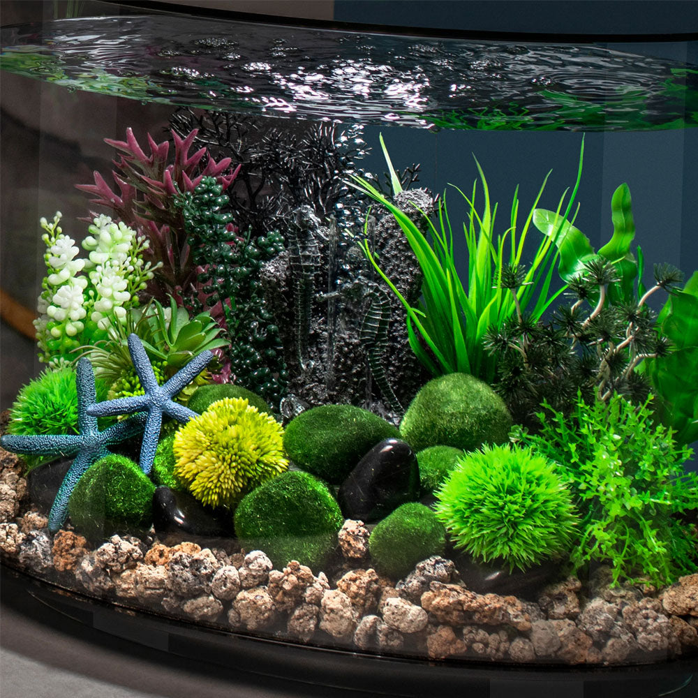Aquatic Topiary
