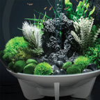 Aquatic Topiary