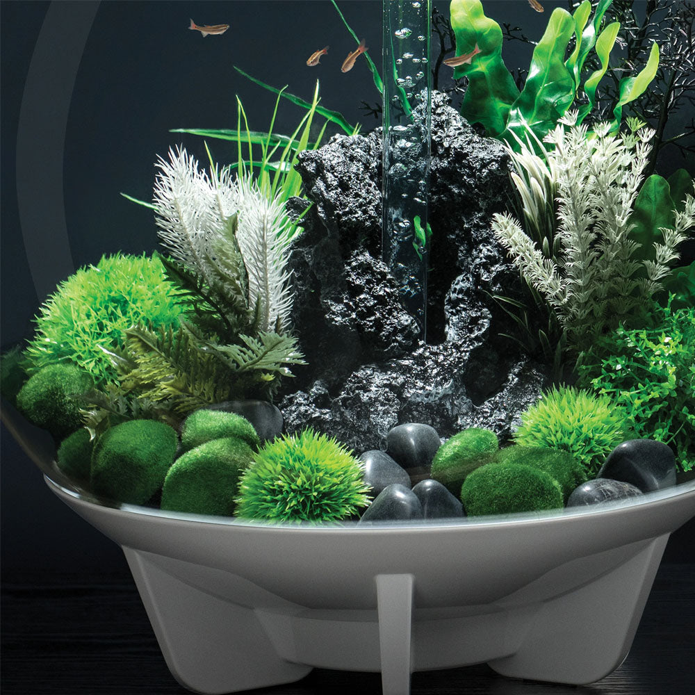 Aquatic Topiary