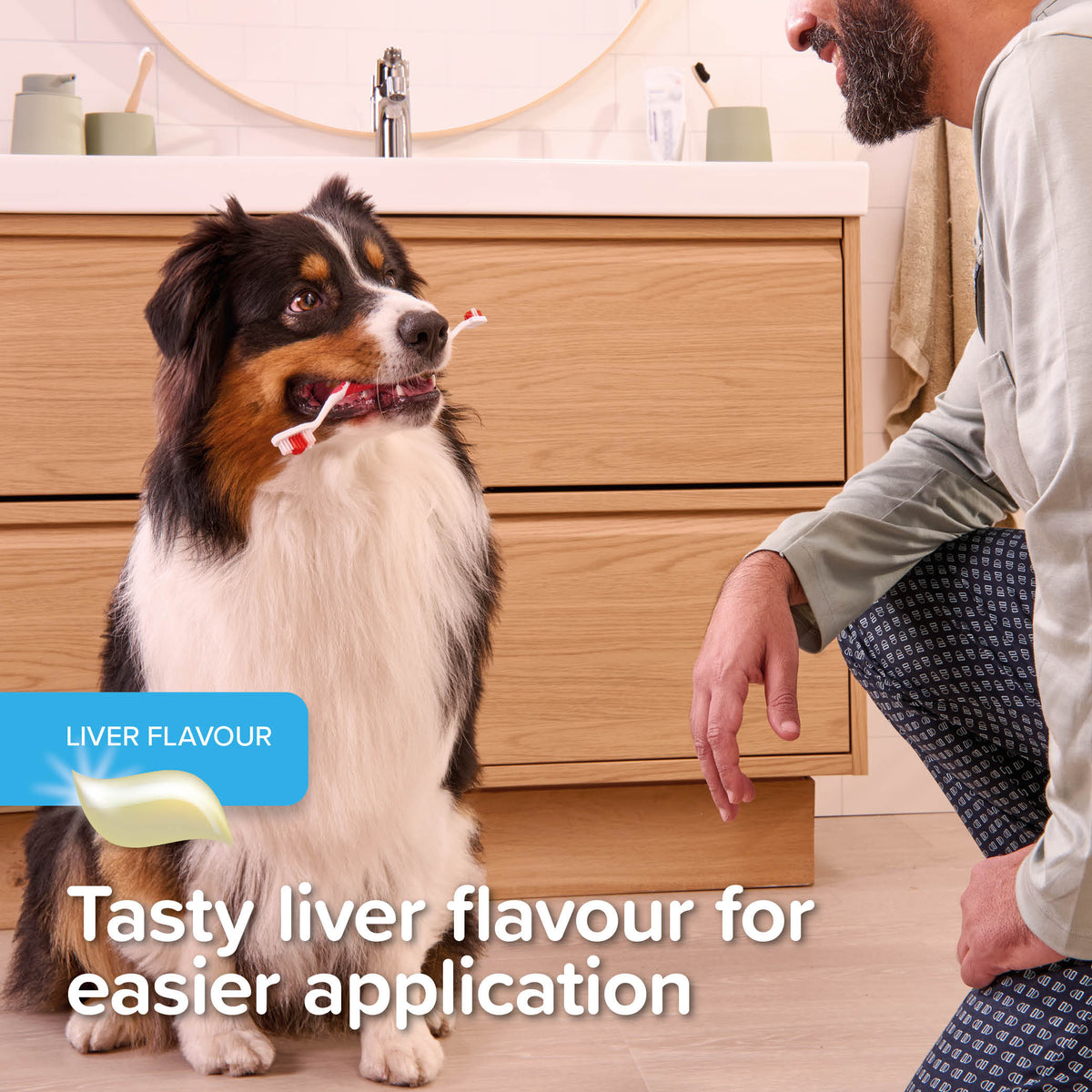 Beaphar Tooth Gel Liver Flavoured for Cats & Dogs 100g