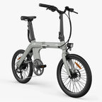Fiido D11 Folding E-bike
