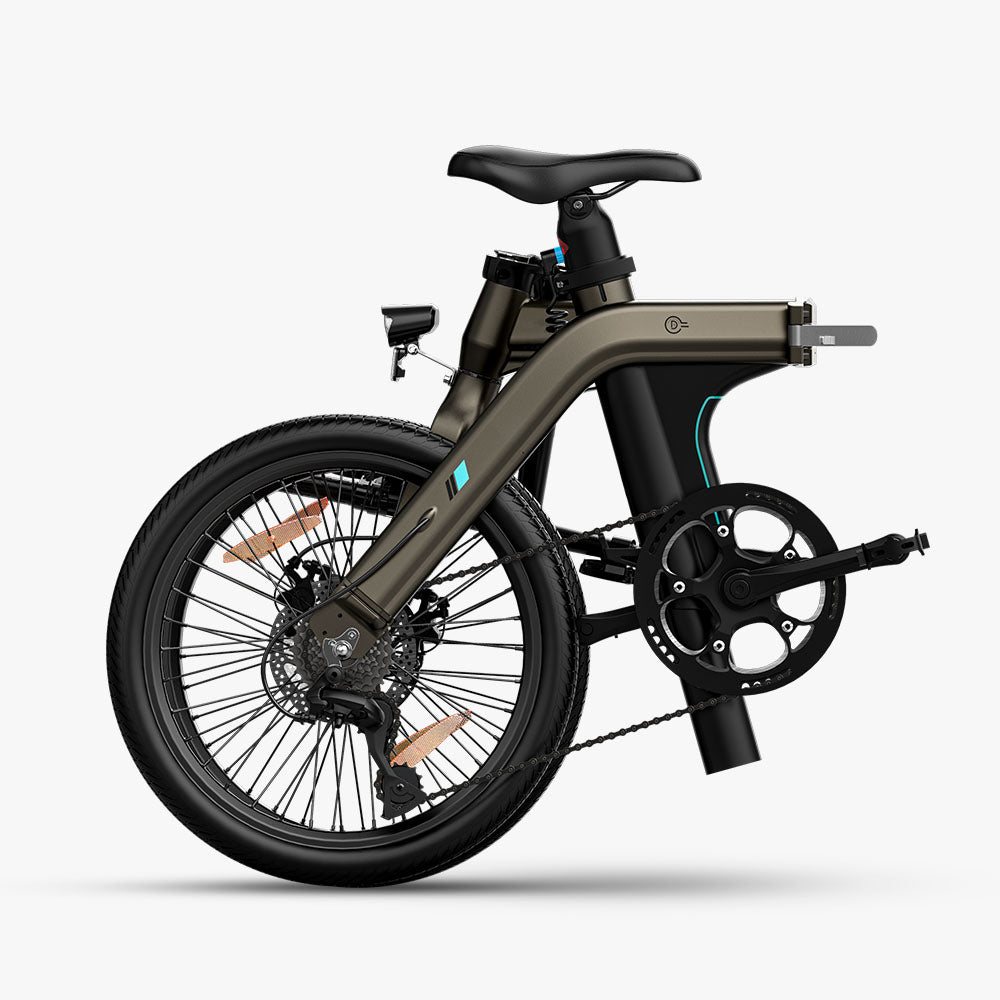 Fiido D21 Folding Electric Bike With Torque Sensor