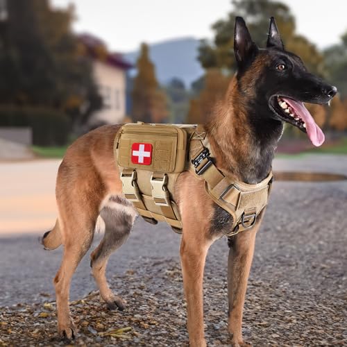FRTKK Tactical Molle Admin Pouch Utility Laser Cut EDC Tool Pouch Bag Horizontal Modular Pouches Include US Flag Patch and Keychain - color: Orange