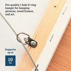 PHS D-Ring Picture Hangers, Holds 10 lb, 100 Pack with Screws - size: 100 Pack