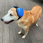 derYEP Dog Earmuffs for Hearing Protection 29dB NRR Ear Muffs Noise Protection (Medium, Blue) - color: Blue, size: Medium
