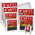 6Packs Mini Stretched Canvases for Painting with 3x5”, 4x4”, 4x6”, 5x5”, 5x7”, 6x6”, Painting Canvas for Oil & Acrylic Paint. - size: 6 Packs - 6 Sizes (1 of Each)