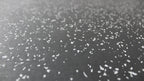 Swiss Barbell Military Series Rubber Speckle Flooring 1m x 1m
