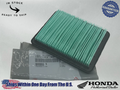 Honda OEM HRR216 HRS216 HRT216 HRX217 Air Filter 17211-ZL8-023