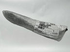 Kawasaki OEM - 2001-2026 SHIFT LEVER MULE 3000 30 / 13168-0895