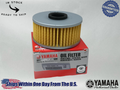 Yamaha OEM (89-90) FZR600 Oil Filter Element 1L9-13441-11-00