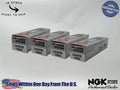 NGK Genuine OEM Authentic Spark Plugs ILZKR7B-11 - 4 PACK