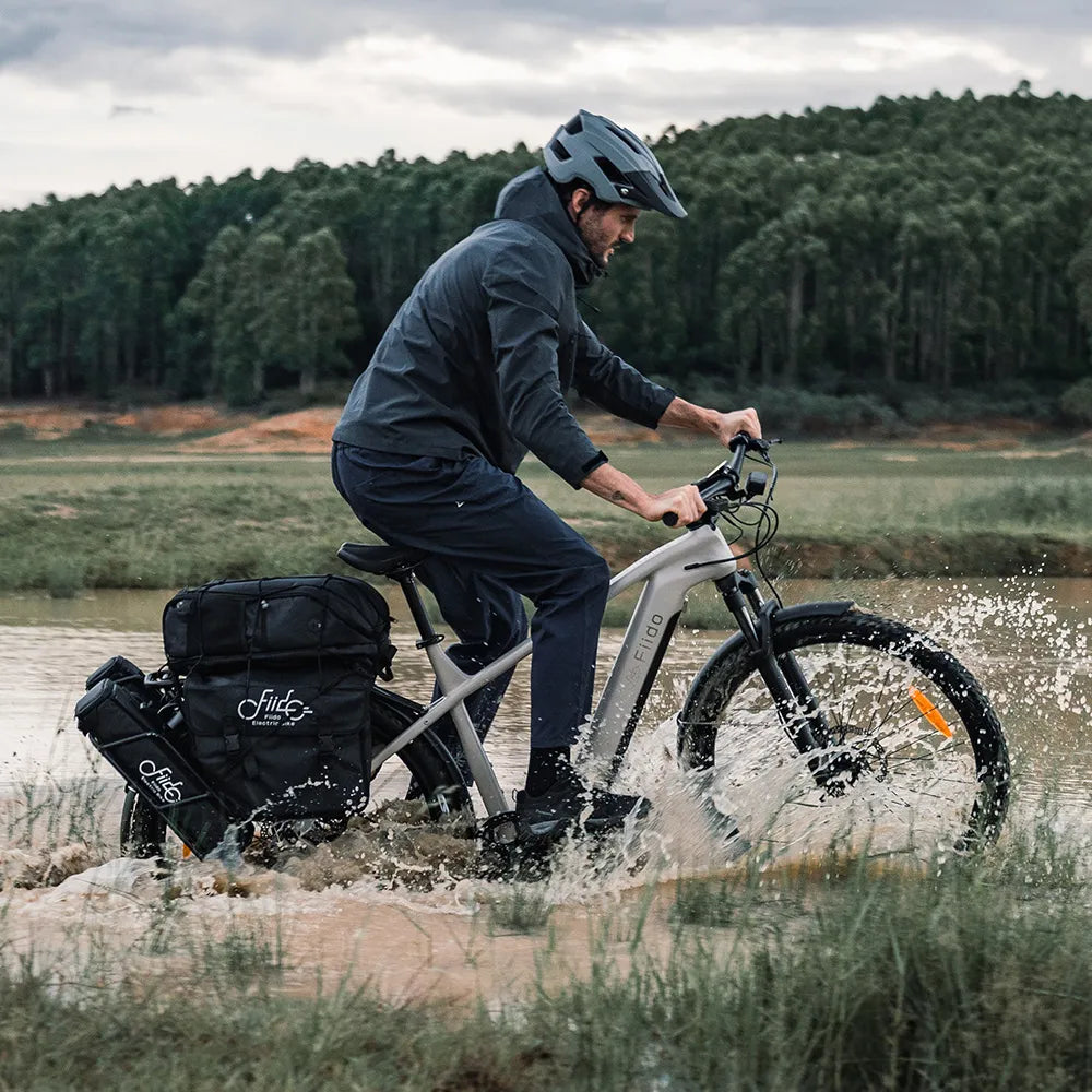 Fiido Nomads Touring E-Bike