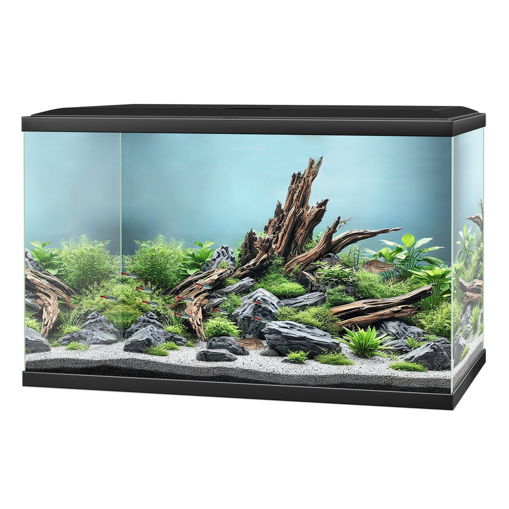 Ciano Aqua LED 65 Aquarium 58L with LED, Filter & Heater