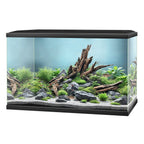 Ciano Aqua LED 65 Aquarium 58L with LED, Filter & Heater