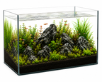 Aquael 45L Glass Aquarium Fish Tank 50x30x30cm, Black Silicone