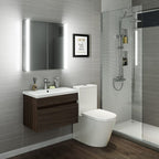 Revere LED Illuminated Mirror Cabinet - 654mm x 500mm