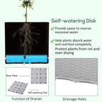 4 Piece Raised Garden Bed with Legs, Self-Watering Planter Box Raised Bed to Grow Flowers, Herbs & Vegetables, Gray