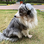 derYEP Dog Earmuffs for Hearing Protection 29dB NRR Ear Muffs Noise Protection (Medium, White) - color: White, size: Medium