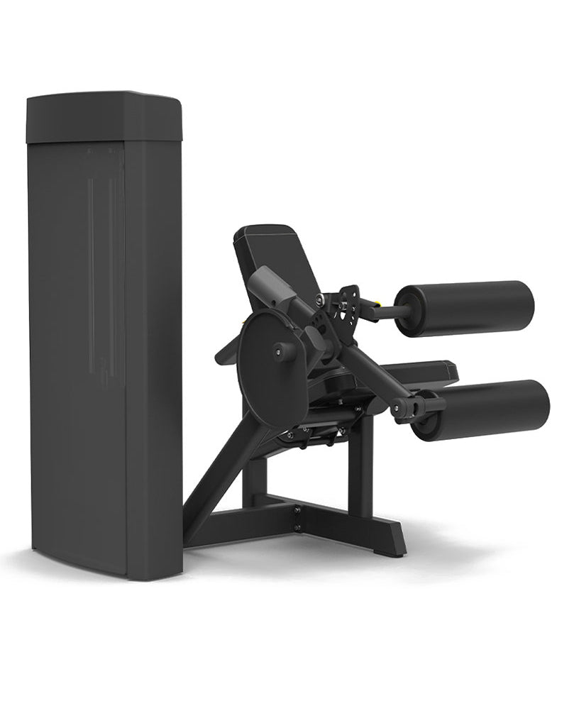 Spirit Seated Leg Curl 43 Series