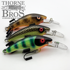 Blue Water Baits 5" K.O. Shad