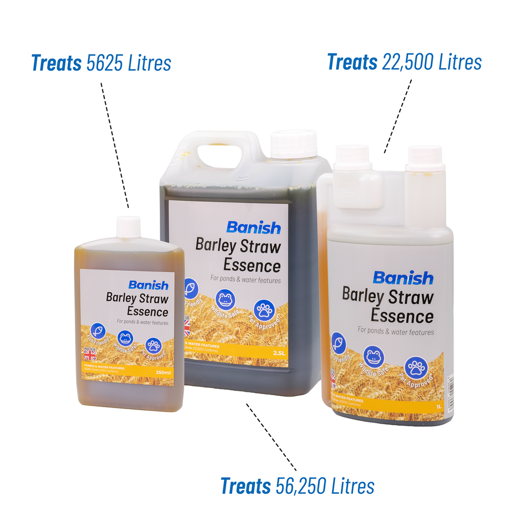 Banish Barley Straw Essence Pond Water Treatment