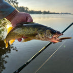 St. Croix Eyecon Spinning Rods