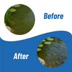 Banish Barley Straw Essence Pond Water Treatment