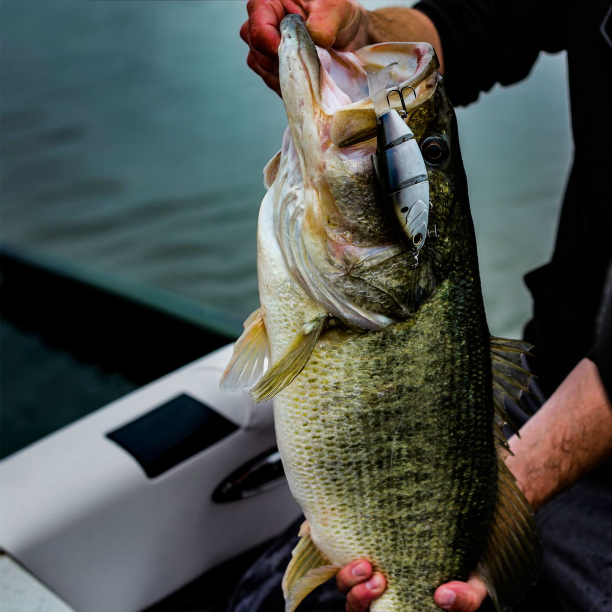 6th Sense Trace 5in Multi Jointed Swimbait
