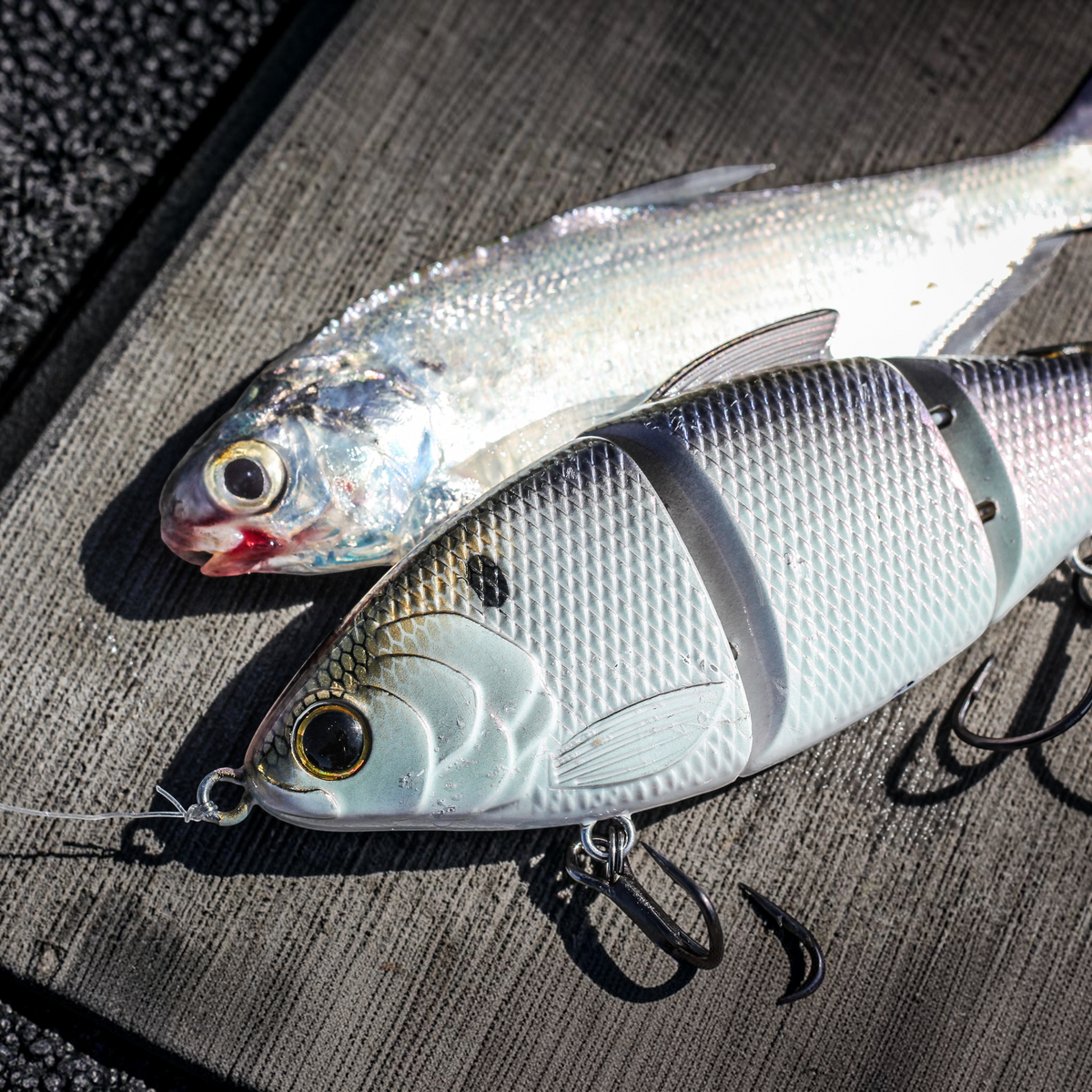 6th Sense Trace 5in Multi Jointed Swimbait