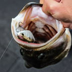 6th Sense Trace 5in Multi Jointed Swimbait