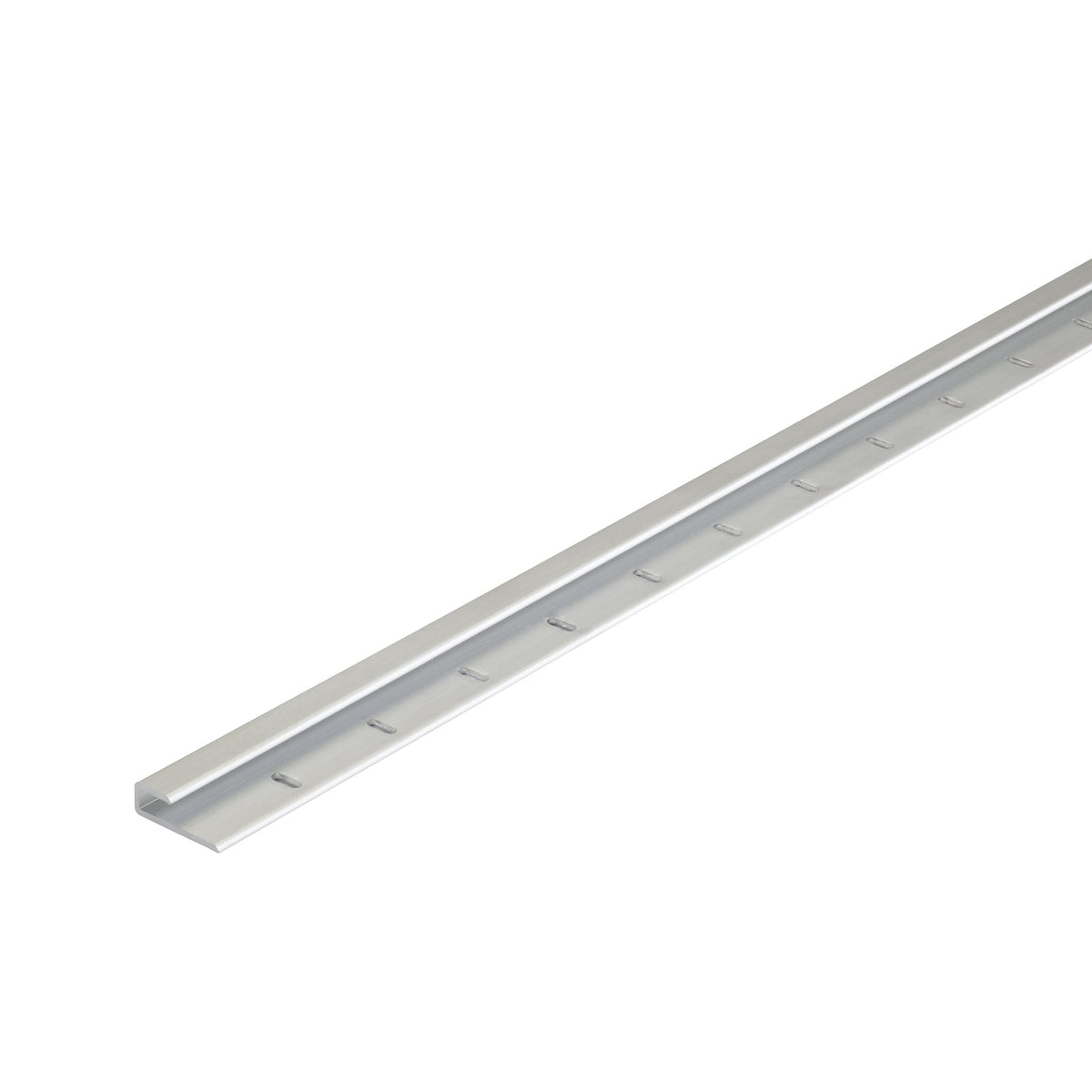 Aluminum Satin Clear Moulding Cap w/Nails