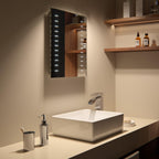 Vega LED Illuminated Rectangular Mirror