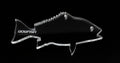 Dogfish Tackle Fish Ornaments - Dogfish Tackle & Marine