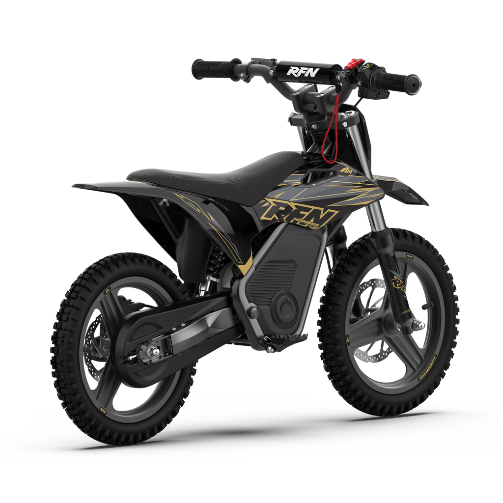 WARRIOR KIDS SX-E500 Electric Bike