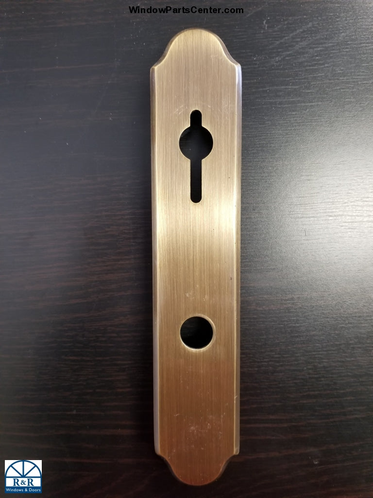 840-001- Amesbury Truth GU Faceplate Small Hole- Swinging Patio Door Hurd